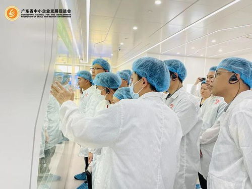 會員專享 探秘世界一流透明工廠，開啟工業智造新視界